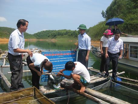 Kiểm tra cho thấy kỹ thuật nu&ocirc;i c&aacute; nheo trong lồng tr&ecirc;n hồ Th&aacute;c B&agrave; cho kết quả tốt, vượt ti&ecirc;u ch&iacute; đề ra
