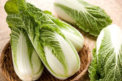 Kỹ thuật trồng c&acirc;y cải thảo kh&ocirc;ng hề kh&oacute;, ai cũng c&oacute; thể &aacute;p dụng tại nh&agrave;