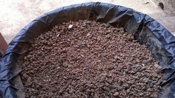 Bón lót và chọn đất là bước quan trọng trong kỹ thuật trồng cây