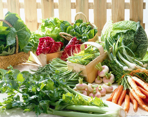 Nắm vững kỹ thuật trồng rau m&ugrave;a mưa sẽ cho năng suất cao nhất