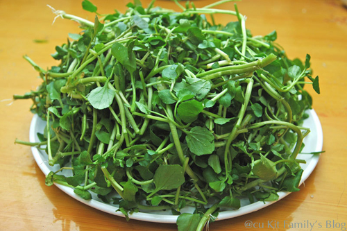 Rau cải xoong c&oacute; thể ăn sống hoặc ch&iacute;n