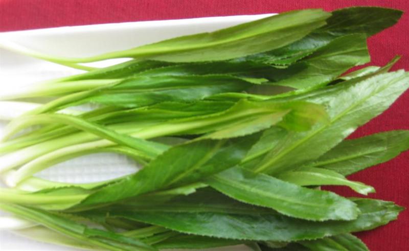 C&acirc;y m&ugrave;i t&agrave;u c&oacute; kỹ thuật trồng c&acirc;y kh&aacute; đơn giản