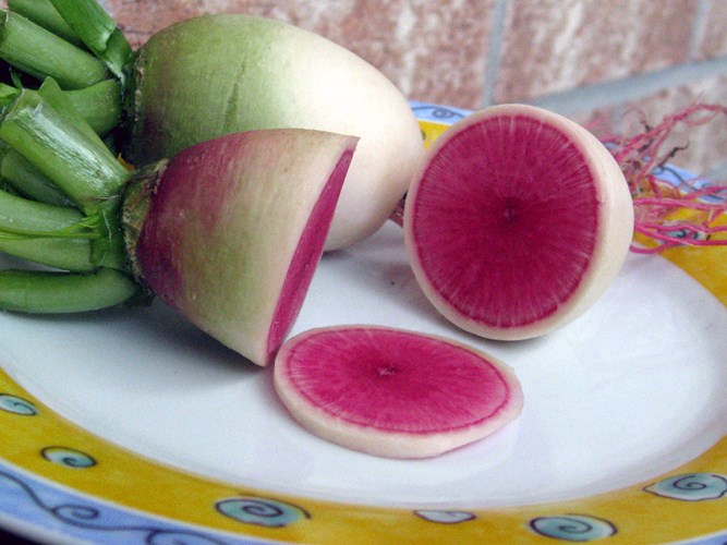 Củ cải dưa hấu c&oacute; lớp vỏ m&agrave;u trắng kem, bổ ra b&ecirc;n trong l&agrave; lớp ruột đỏ hồng