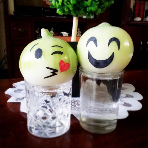 Tr&agrave;o lưu trồng h&agrave;nh t&acirc;y n&agrave;y rất được chị em ưa chuộng