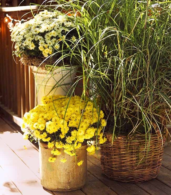 Cần bỏ ch&uacute;t thời gian để chăm s&oacute;c hoa tươi tốt