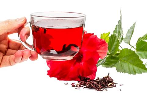Lo&agrave;i hoa n&agrave;y c&oacute; nhiều t&aacute;c dụng về y học m&agrave; &iacute;t người biết tới