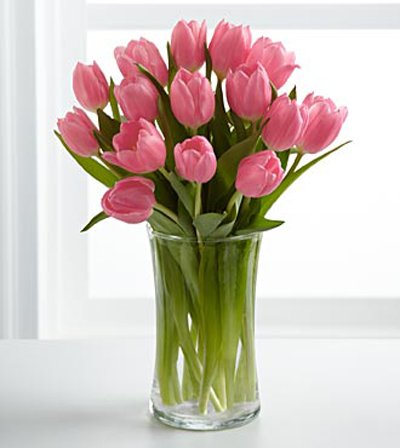 Kỹ thuật trồng hoa tulip v&ocirc; c&ugrave;ng đơn giản