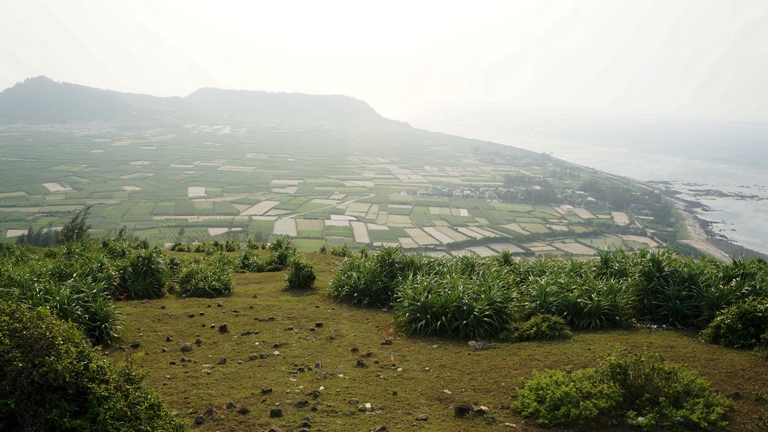 L&Yacute; SƠN