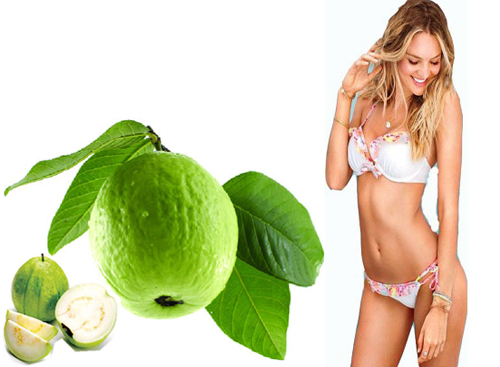 Kh&ocirc;ng chỉ l&agrave; một trong c&aacute;c c&aacute;ch trị mụn hiệu quả, l&aacute; ổi c&ograve;n c&oacute; t&aacute;c dụng trong việc giảm c&acirc;n