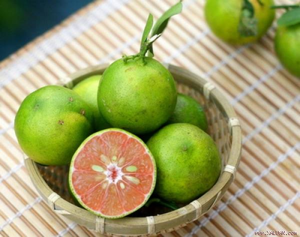 Chanh đ&agrave;o rất gi&agrave;u axit citric v&agrave; chỉ một &iacute;t nước chanh cũng c&oacute; thể cải thiện hệ ti&ecirc;u h&oacute;a
