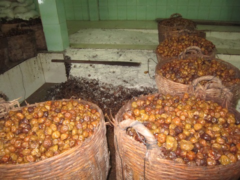 Nhiều loại mứt ăn ng&ocirc;n miệng với bề ngo&agrave;i hấp dẫn nhưng lại c&oacute; nguồn gốc từ c&aacute;c cơ sở l&agrave;m mứt Tết bẩn