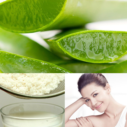Nha đam kết hợp với nước vo gạo c&oacute; thể xem l&agrave; loại mặt nạ thần kỳ cho việc t&aacute;i tạo một l&agrave;n da trắng mịn, căng tr&agrave;n sức sống