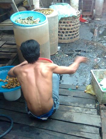 Chanh muối được ng&acirc;m v&agrave;o c&aacute;c th&ugrave;ng phuy ngay cạnh cống bẩn