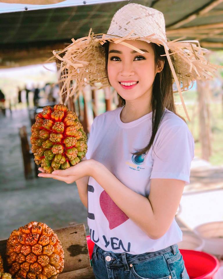 Theo ch&acirc;n hoa hậu Đỗ Mỹ Linh kh&aacute;m ph&aacute; xứ sở &lsquo;Hoa v&agrave;ng tr&ecirc;n cỏ xanh&rsquo;