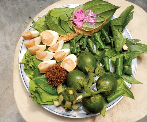 Chữa &lsquo;b&aacute;ch bệnh&rsquo; với l&aacute; trầu kh&ocirc;ng