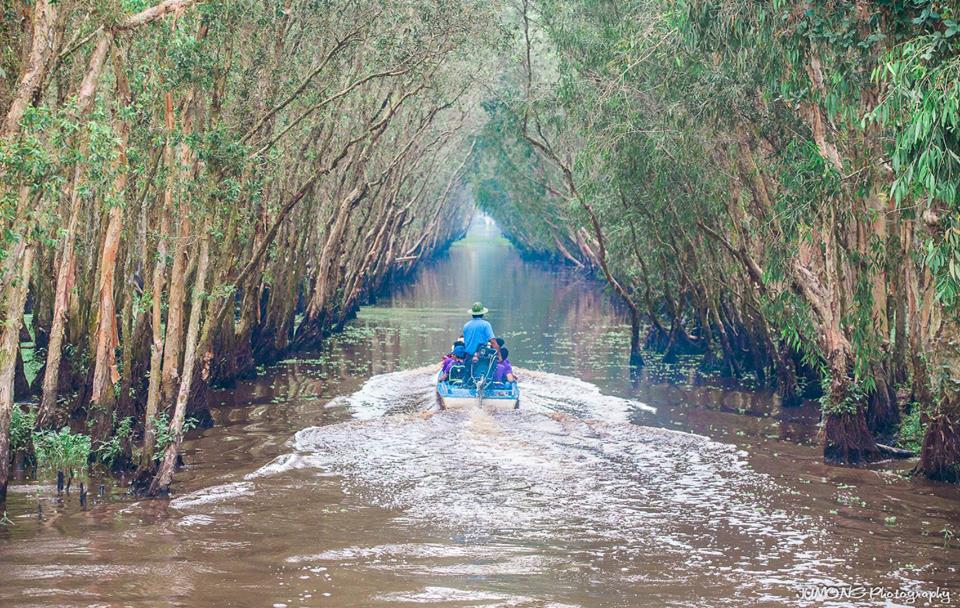 Len lỏi trong rừng tràm Trà Sư để khám phá hệ sinh thái rừng ngập mặn phong phú