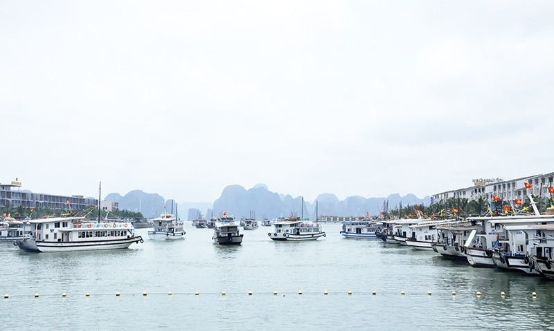  Một số t&agrave;u hoạt động tr&ecirc;n vịnh Hạ Long đ&atilde; c&oacute; những sai phạm nghi&ecirc;m trọng. Ảnh:ST