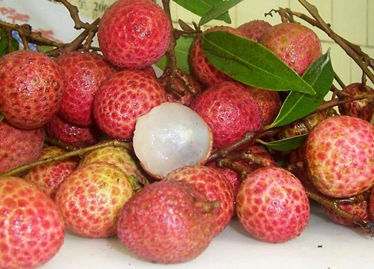 Quả vải c&oacute; nhiều dưỡng chất nhưng kh&ocirc;ng phải ai cũng n&ecirc;n ăn