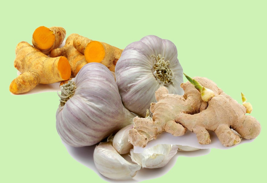 Bảo quản gừng, nghệ, khoai t&acirc;y... trong c&aacute;t sẽ gi&uacute;p ch&uacute;ng tươi ngon