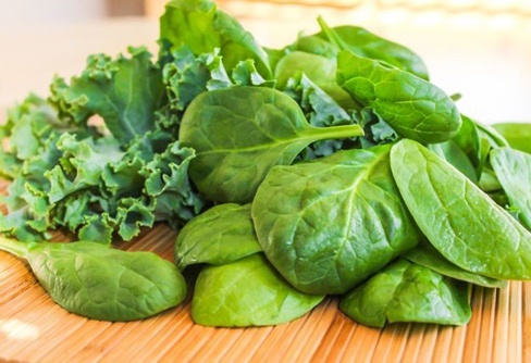 C&aacute;c loại rau c&oacute; m&agrave;u xanh đậm c&oacute; nhiều sắt v&agrave; vitamin nh&oacute;m B rất tốt cho c&aacute;c sĩ tử, gi&uacute;p c&aacute;c học sinh được tăng cường tr&iacute; nhớ v&agrave; hệ miễn dịch như rau ng&oacute;t, rau dền, rau b&oacute; x&ocirc;i.