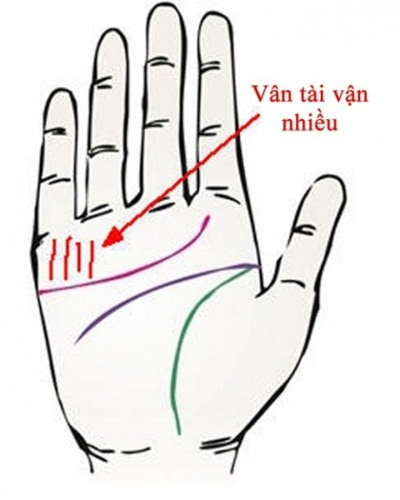 6 tướng b&agrave;n tay b&aacute;o hiệu cuộc đời gi&agrave;u sang ph&uacute; qu&yacute;