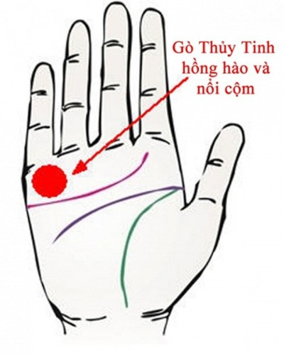 6 kiểu tướng b&agrave;n tay b&aacute;o hiệu bạn l&agrave; người gi&agrave;u sang, ph&uacute; qu&yacute;