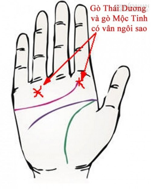 6 kiểu tướng b&agrave;n tay b&aacute;o hiệu bạn l&agrave; người gi&agrave;u sang, ph&uacute; qu&yacute;