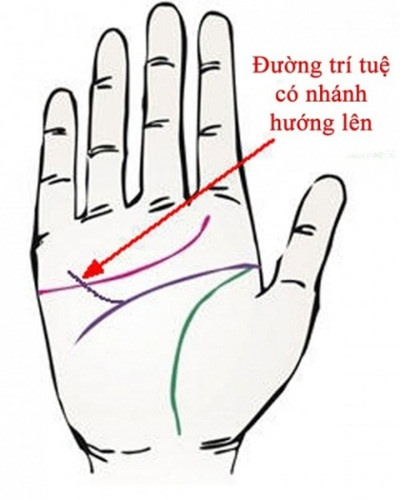 6 kiểu tướng b&agrave;n tay b&aacute;o hiệu bạn l&agrave; người gi&agrave;u sang, ph&uacute; qu&yacute;
