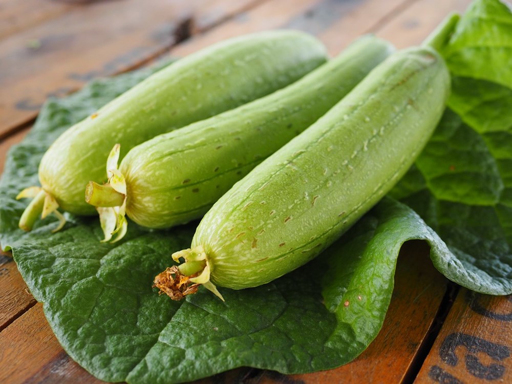 Mướp hương l&agrave; loại quả c&oacute; thể chữa trị nhiều căn bệnh v&agrave; cung cấp c&aacute;c vitamin cần thiết cho cơ thể 