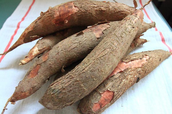 Chất xyanua trong củ sắn c&oacute; thể khiến bạn bị ngộ độc