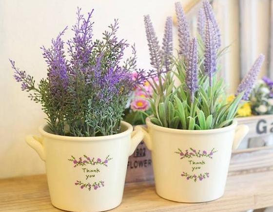 Hoa oải hương c&oacute; hương thơm dịu nhẹ nhưng khiến muỗi rất sợ h&atilde;i