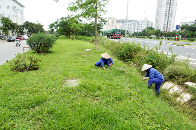 H&agrave; Nội phải chi rất nhiều tiền v&agrave;o việc cắt cỏ