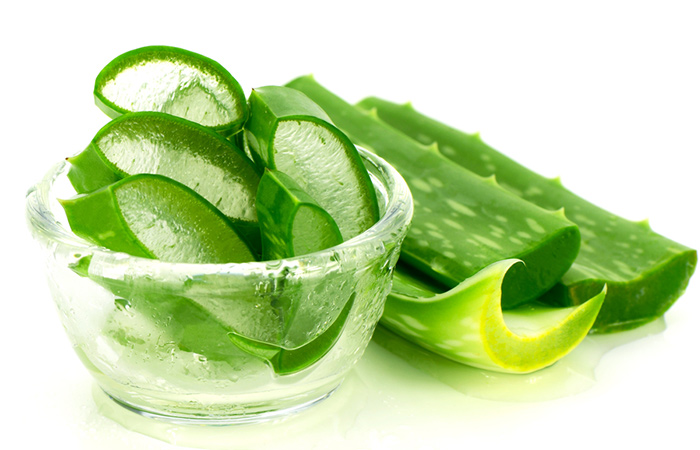 Nha đam c&ograve;n h&uacute;t được nhiều độc tố trong nh&agrave;, mang phong thủy tốt