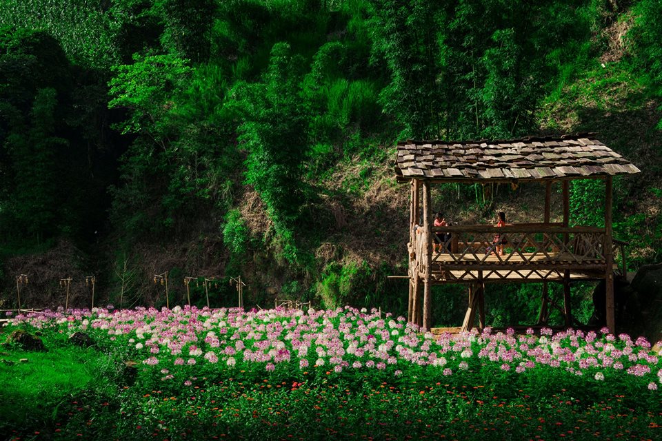 Khung cảnh Sapa với những background tuyệt đẹp