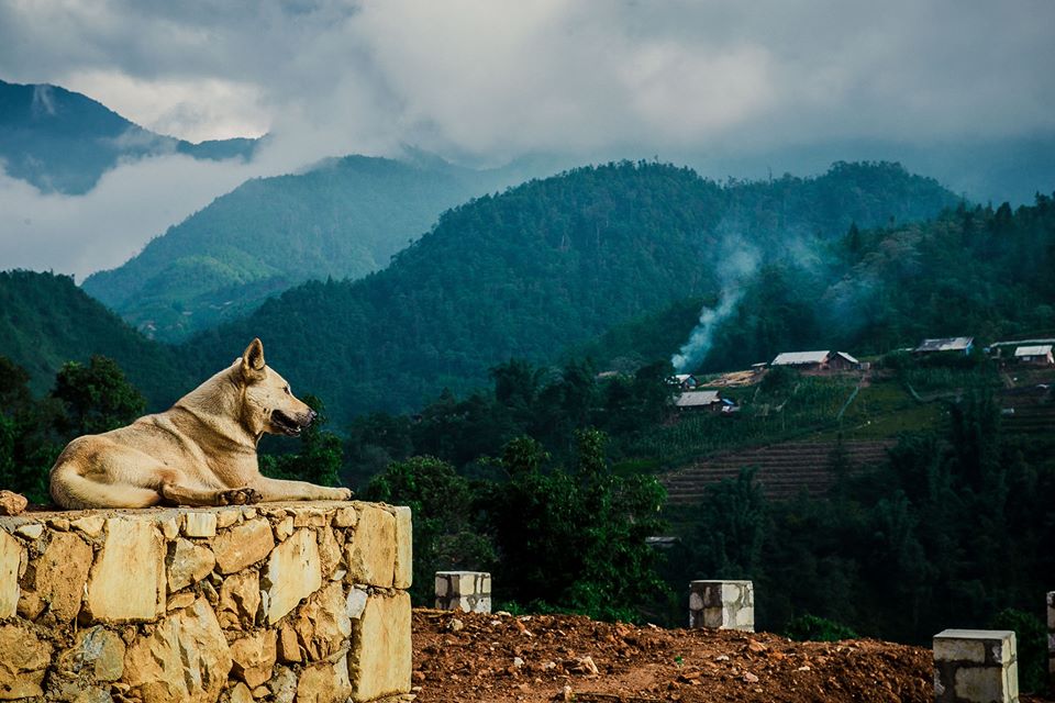 Khung cảnh Sapa với những background tuyệt đẹp