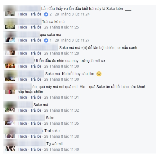Dân mạng đồng loạt cho ý kiến đó là trái sake