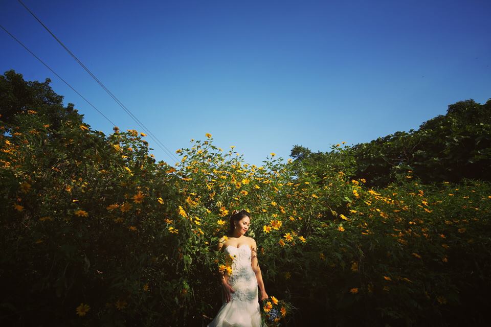 Địa điểm lý tưởng để chụp ảnh cưới cho các cặp đôi vào mùa thu này Địa điểm lý tưởng để chụp ảnh cưới cho các cặp đôi vào mùa thu này