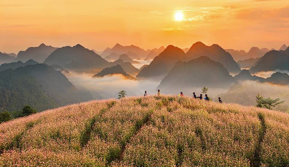H&agrave; Giang tuyệt đẹp khi tam gi&aacute;c mạch nở rộ