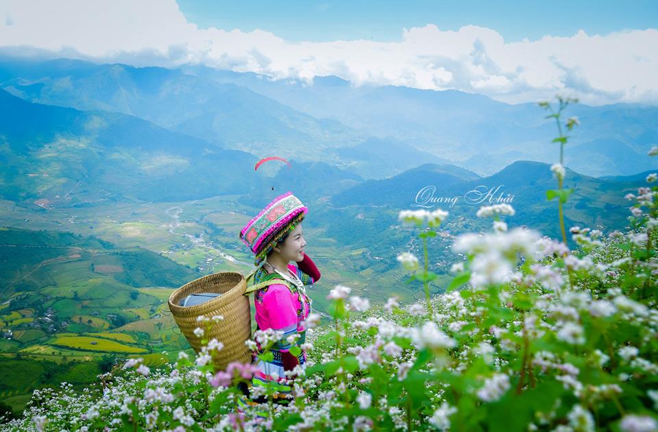 Chẳng cần đến H&agrave; Giang, tam gi&aacute;c mạch ở M&ugrave; Cang Chải cũng đẹp nao l&ograve;ng