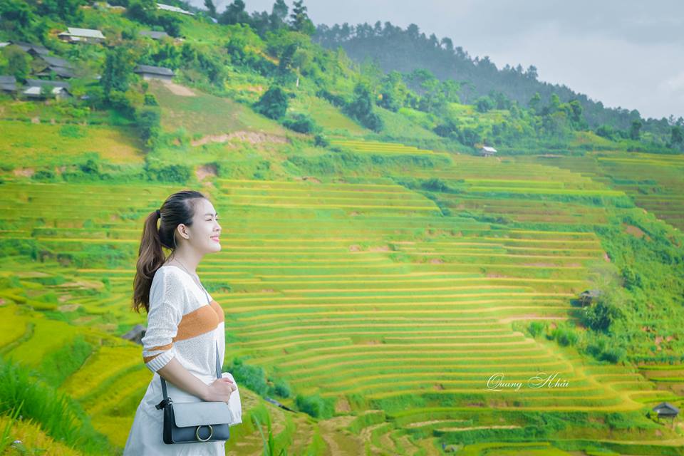 Những ruộng l&uacute;a tr&ecirc;n M&ugrave; Cang Chải đang bắt đầu ch&iacute;n v&agrave;ng