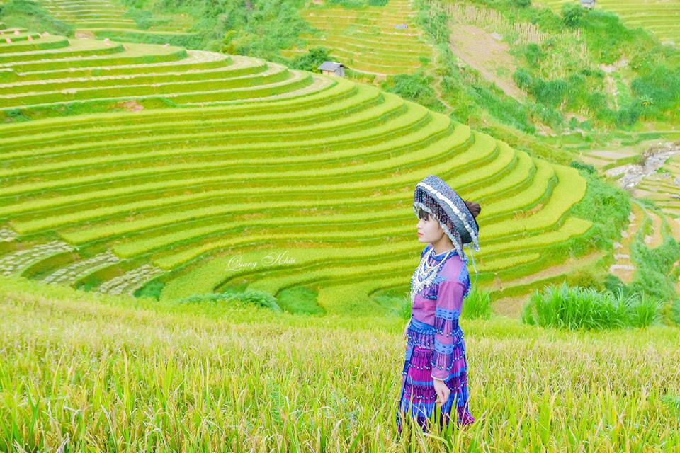 Mơ m&agrave;ng b&ecirc;n những ruộng bậc thang