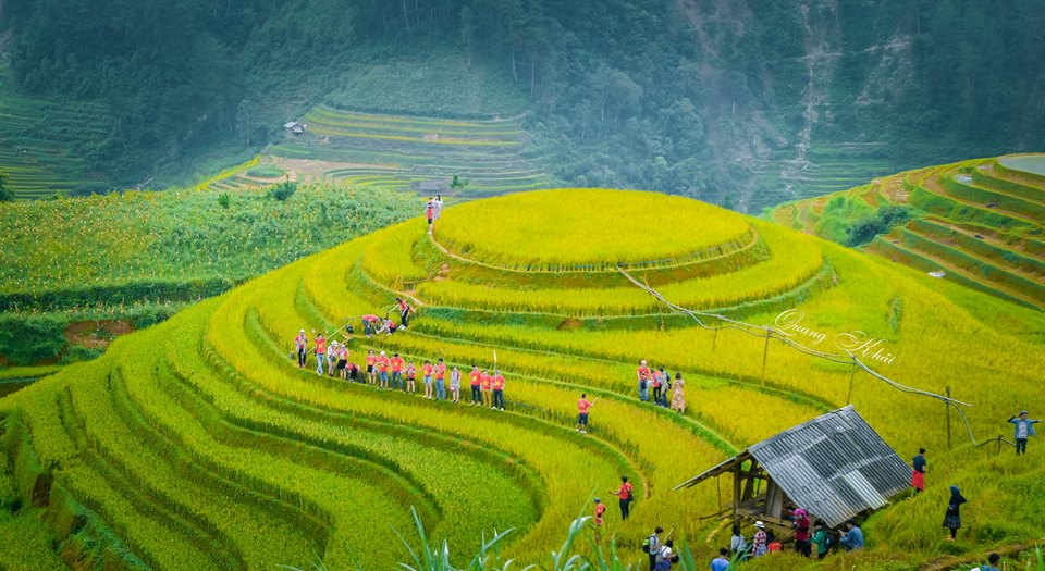 Những ruộng l&uacute;a tr&ecirc;n M&ugrave; Cang Chải đang bắt đầu ch&iacute;n v&agrave;ng