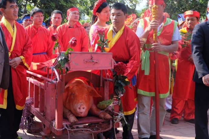 Lễ hội ch&eacute;m lợn ở Bắc Ninh: &Ocirc;ng Ỉn được rước đi &lsquo;trảm&rsquo; k&iacute;n