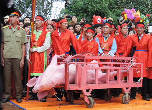 Việc thay đổi lễ hội ch&eacute;m lợn ở Bắc Ninh l&agrave; do cộng đồng địa phương quyết định