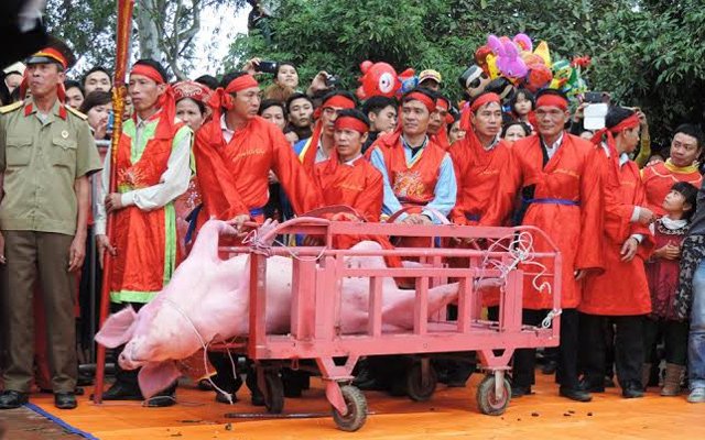 Lễ hội ch&eacute;m lợn l&agrave;ng N&eacute;m Thượng lại khiến Bắc Ninh &lsquo;đau đầu&rsquo;