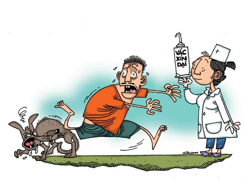 Thuốc nam chữa bệnh ch&oacute; dại