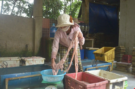 Thực phẩm bẩn nhất mùa hè: Feeling Tea dùng nguyên liệu bẩn