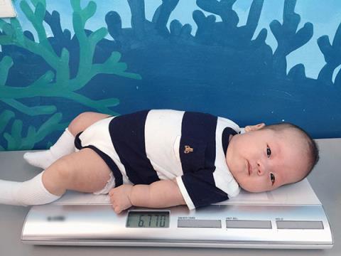 Mạc Hồng Qu&acirc;n muốn &lsquo;nối lại t&igrave;nh xưa&rsquo; với Ly Kute