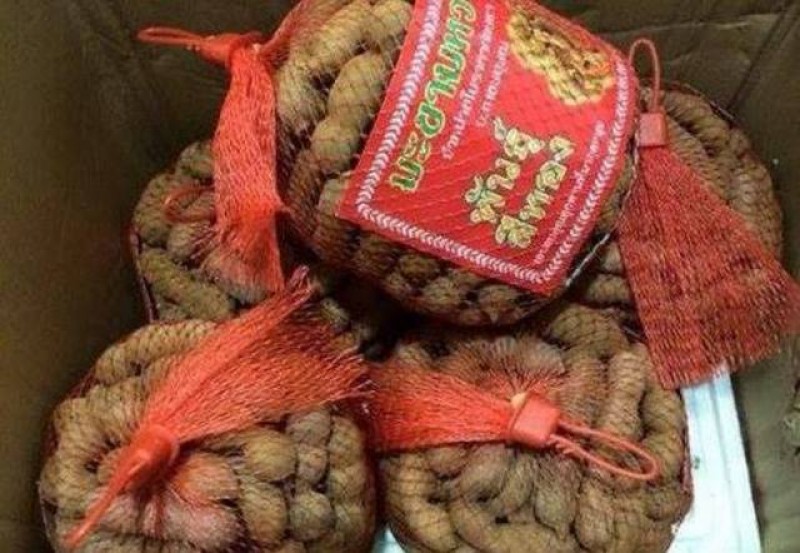 Tin tức trong ng&agrave;y: Su&yacute;t chết v&igrave; ngộ độc so biển