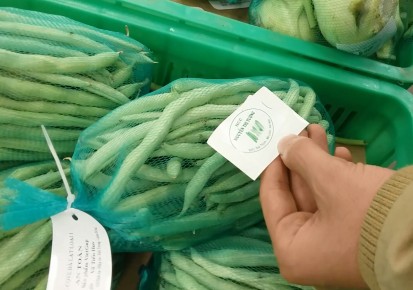 Tin tức trong ng&agrave;y: 2 tấn ruốc lậu bị thu giữ tại ga Gi&aacute;p B&aacute;t